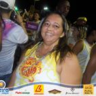 Bloco Skol Folia